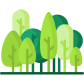 forest forest